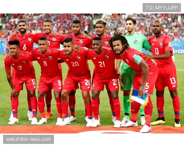 突尼斯2026世界杯阵容预测 谁能扛起北非之鹰进攻大旗